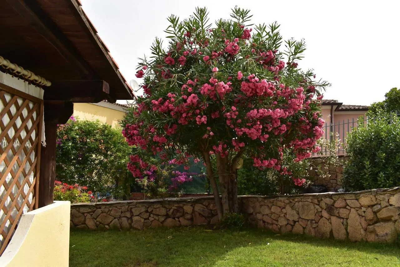 Splendida Villetta Tavolara 1 Vaccileddi Italy